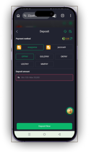 PK33 Game Download – Real Earning App in Pakistan (2026) 6