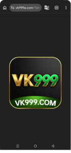 What Is VK999 Game? (Complete Overview) 1
